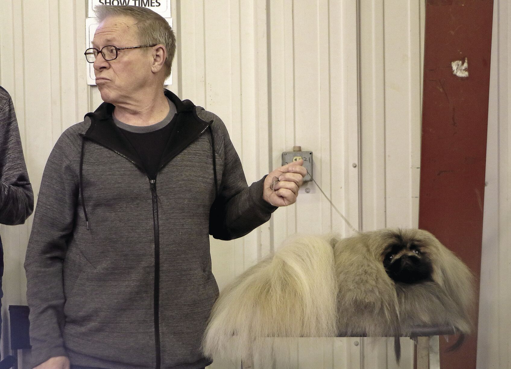 PHOTOS: 2022 AKC Dog Show